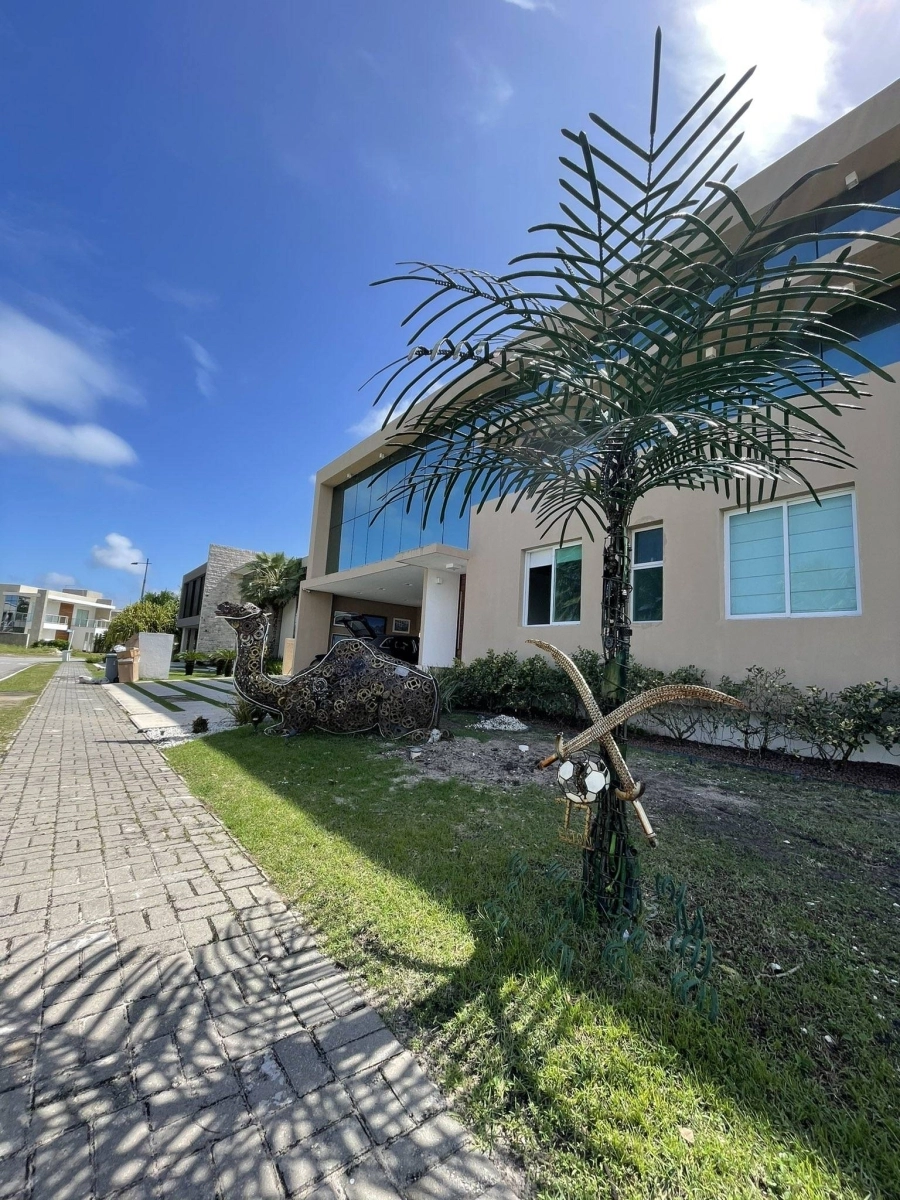 السيفان والنخلة بمنزل إلتون في البرازيل  (مكة)