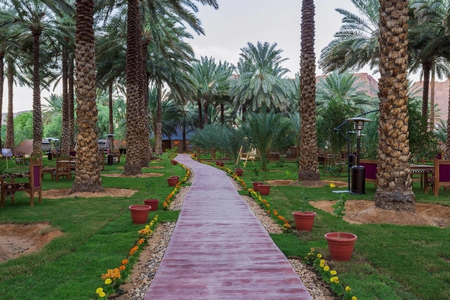 مزرعة المحكر تستقبل مهرجان الحمضيات بالعلا         (مكة)