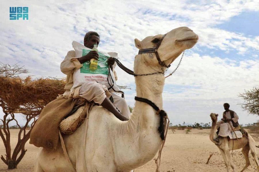 سوداني يحمل المساعدات الغذائية على جمل       (واس)