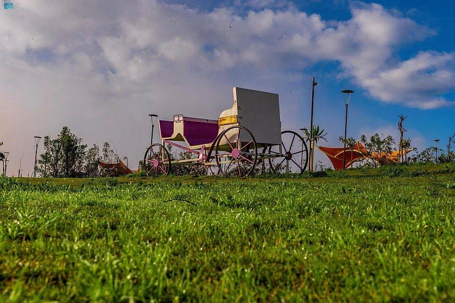 جبال وسفوح وأودية منطقة الباحة تكتسي باللون الأخضر بعد هطول الأمطار عليها أخيرا
