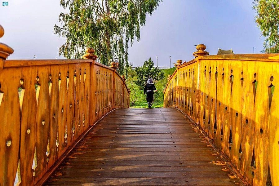 جبال وسفوح وأودية منطقة الباحة تكتسي باللون الأخضر بعد هطول الأمطار عليها أخيرا
