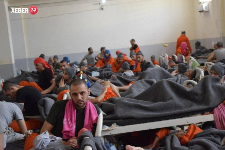 






عدد من الدواعش بعد استسلامهم                             (مكة)