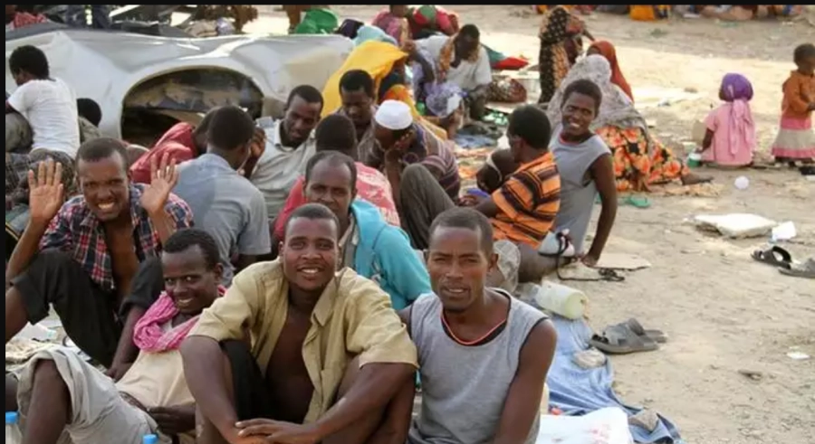 






شباب إثيوبيون يتم الدفع بهم قسرا للقتال                               (مكة)