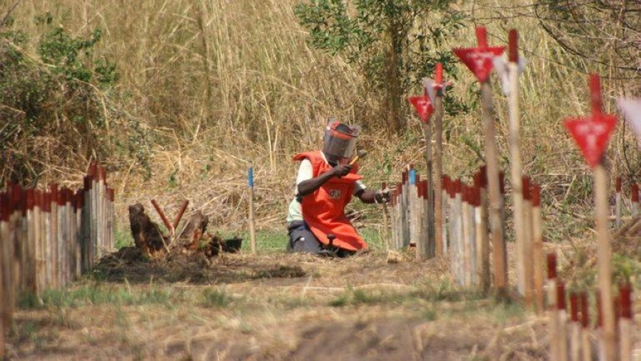 مهندس يتولى نزع أحد الألغام