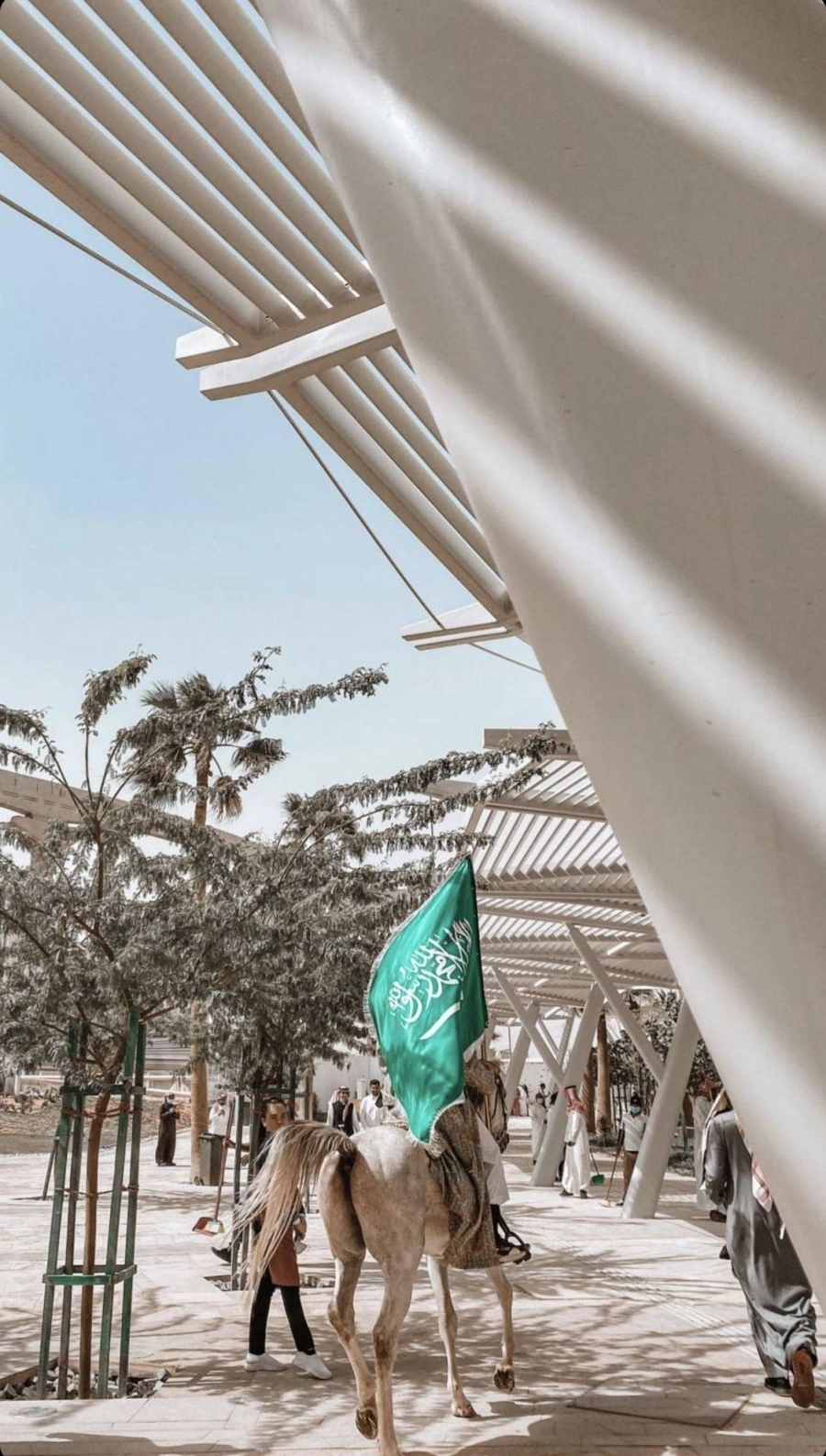 من الاحتفالات بيوم التأسيس                                                                                      (مكة)