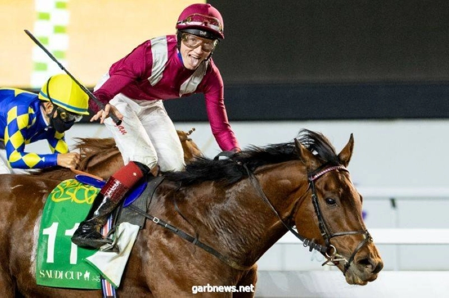 






الجواد مشرف