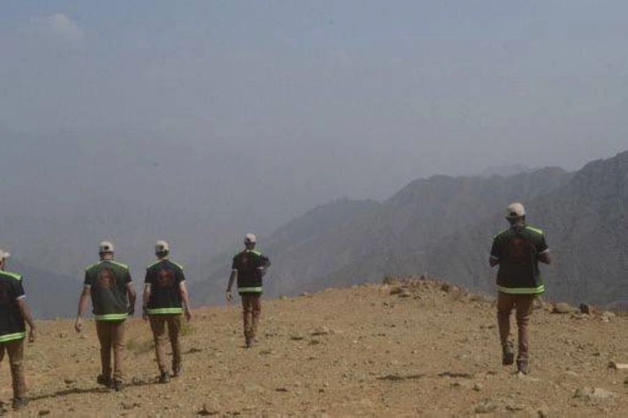 فرق الحياة الفطرية 