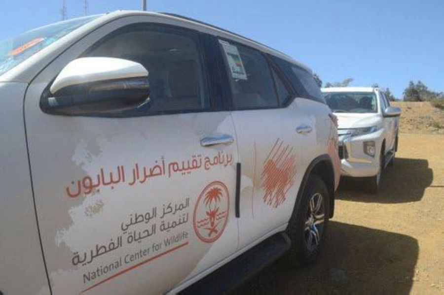 فرق الحياة الفطرية 