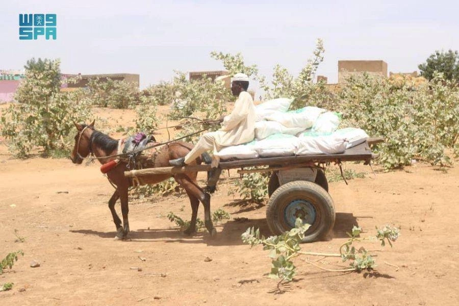 سوداني عائد بالسلال