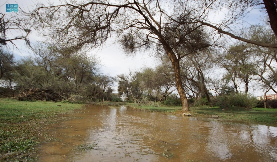 






أمطار على منطقة عسير                                          (مكة)