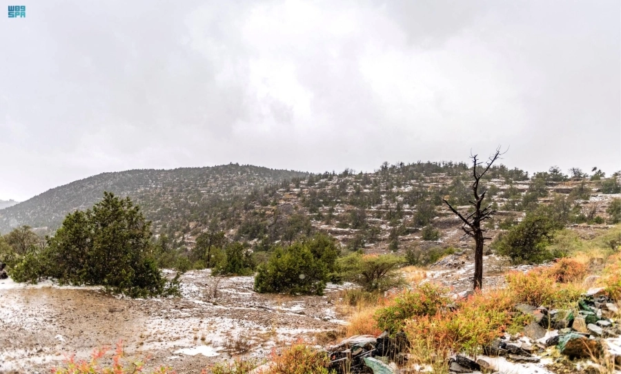 






جانب من أمطار الباحة أمس                                       (واس)