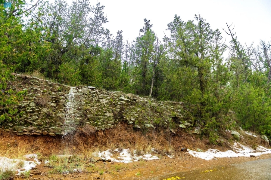 من الأمطار على الباحة أمس  (واس) 