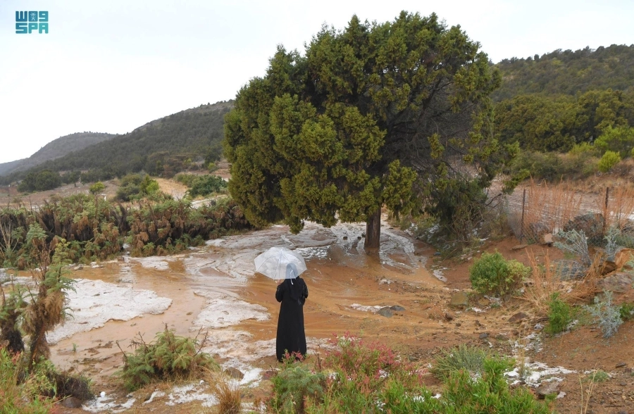 البرد والأجواء المعتدلة في عسير يجذبان الزوار والأهالي للتنزه 