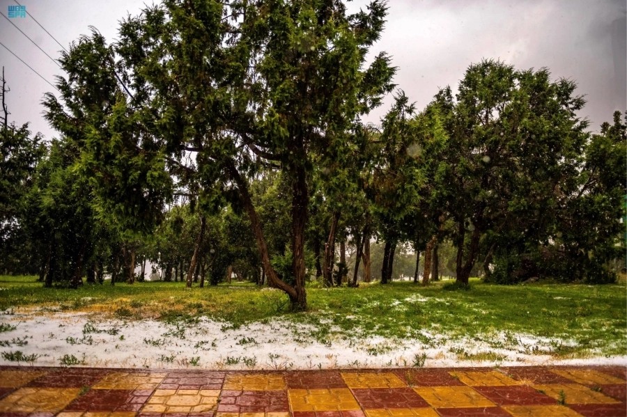 البرد والأجواء المعتدلة في عسير يجذبان الزوار والأهالي للتنزه 