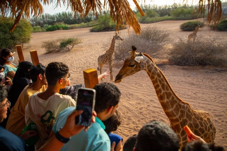 عائلات خلال الاستمتاع بمشاهدة عدد من الأنواع النادرة والجميلة في عالم الحيوانات ضمن فعاليات موسم جدة.
