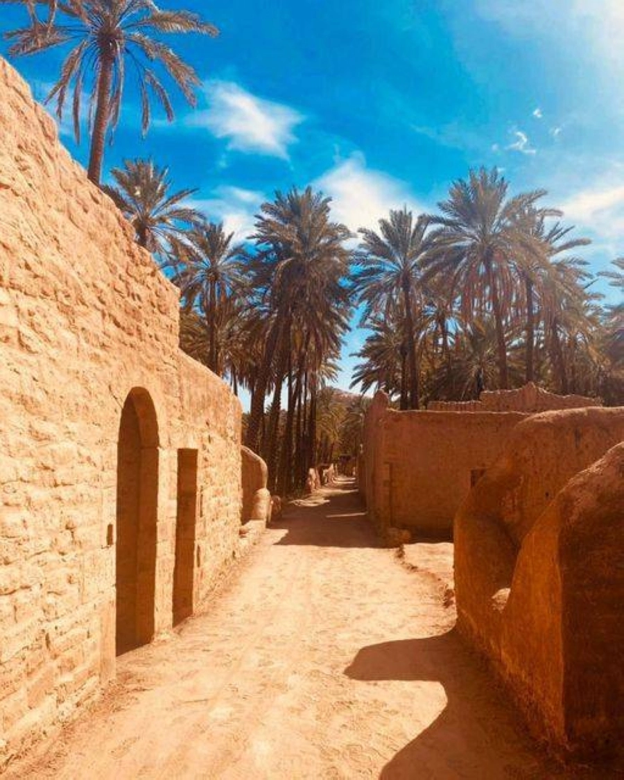 تمتاز بروح العلا