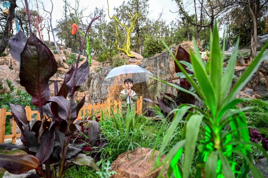 عدد من الزوار والمصطافين والأهالي خرجوا للاستمتاع بالأجواء والطبيعة ومشاهدة الأمطار والسيول بمنطقة الباحة.
