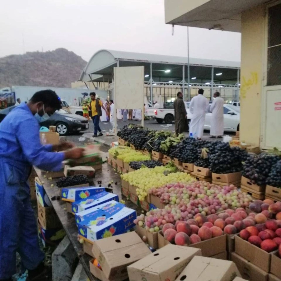 






من الجولات الرقابية