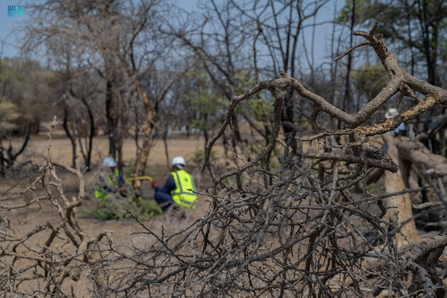 






بدء مشروع إعادة التأهيل