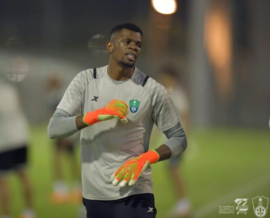 






محمد الربيعي