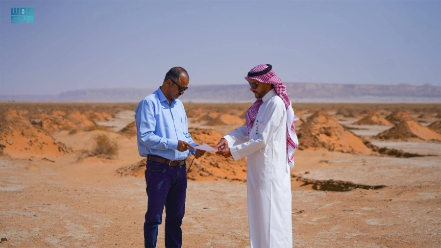 






تجهيزات لغرس الشتول                                              (مكة)