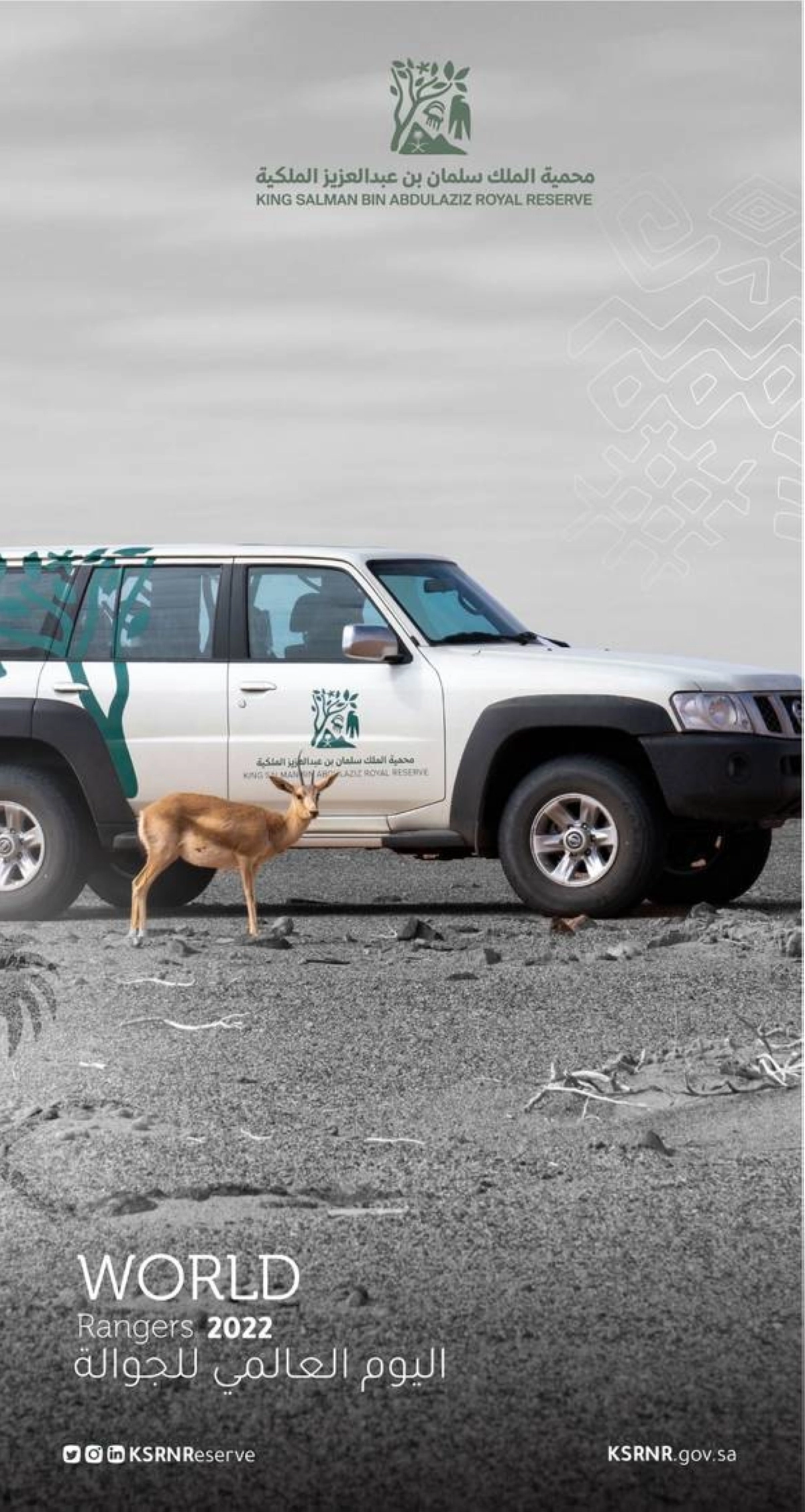 محمية الملك سلمان