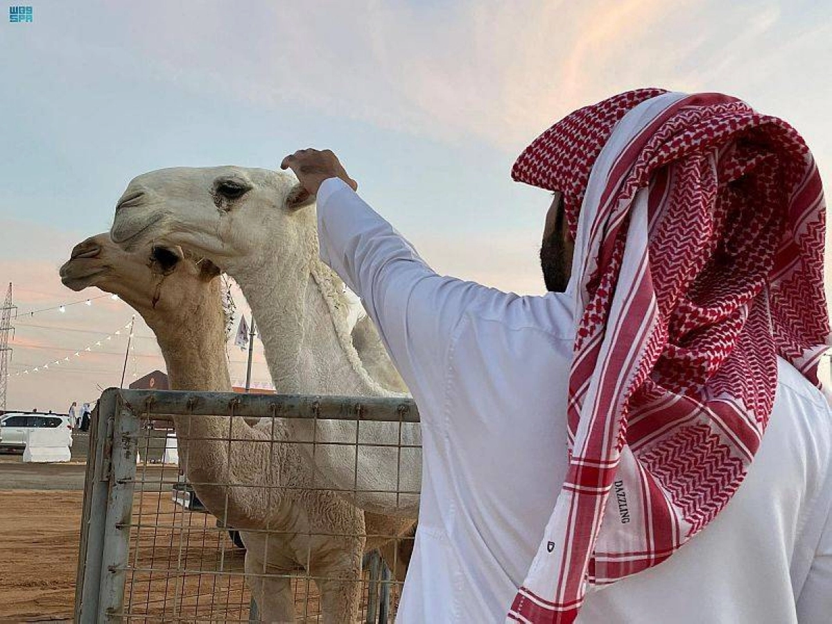 DST_1805487_3593121_14_5_2022103012415255