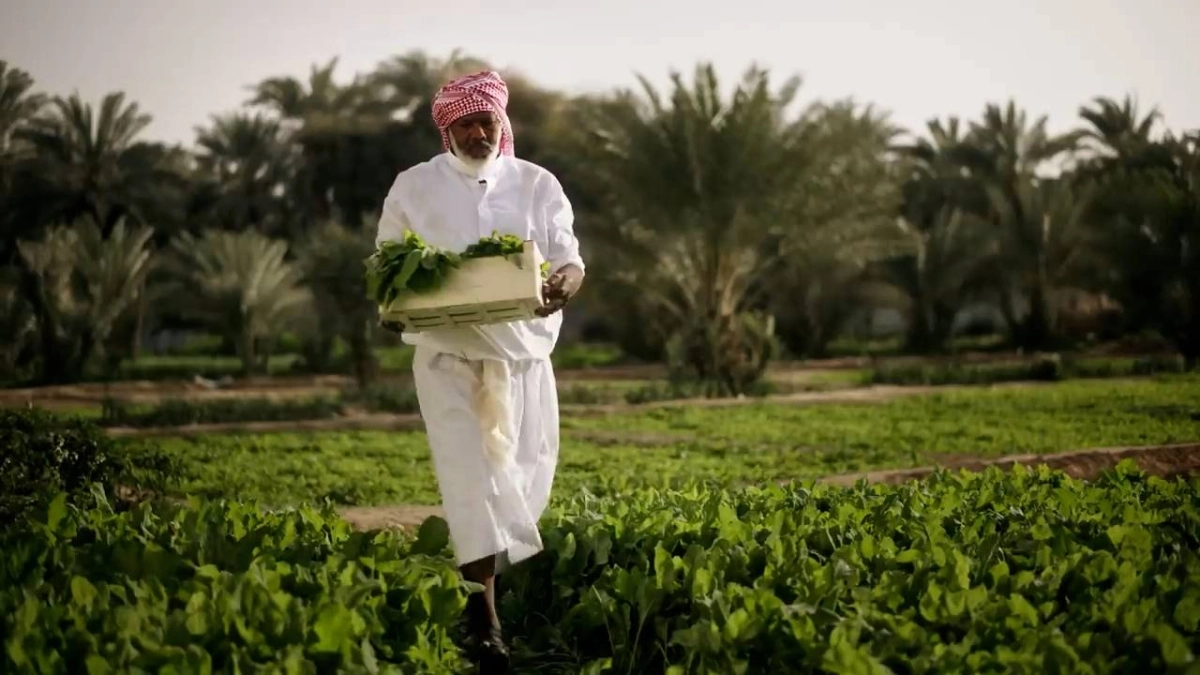 

جمعية التنمية البيئية (فسيل)