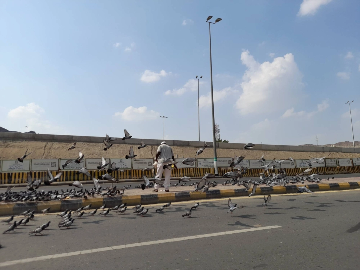 مخالف ينثر الحبوب على أحد الأرصفة (مكة)