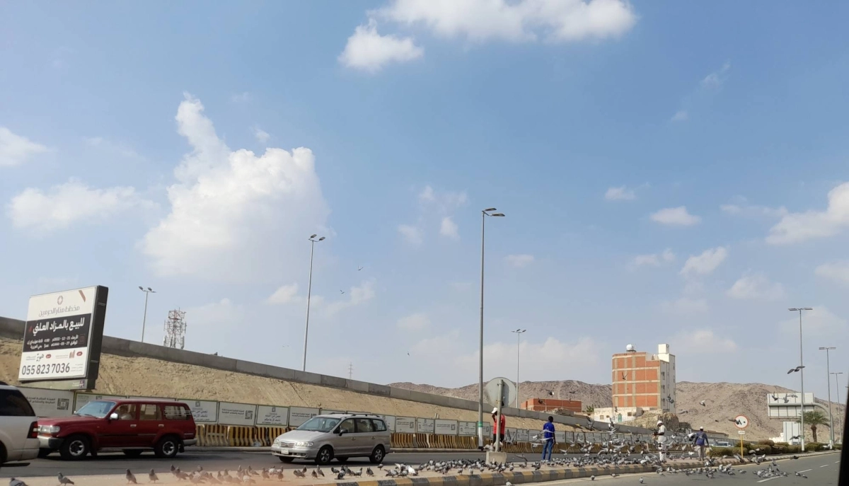 مخالفون ينثرون الحبوب على الرصيف (مكة) 