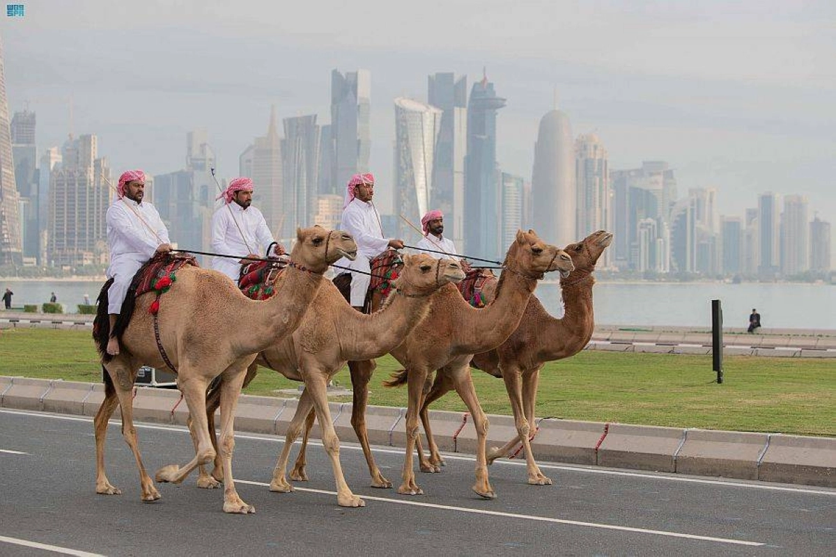 احد السباقات التراثية في الدوحة