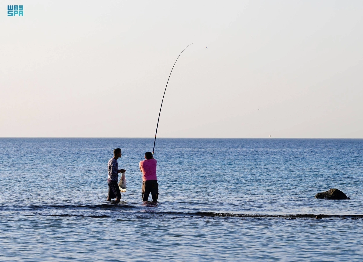 يستمتع الأهالي والزوار بالتنزه في شواطئ محافظة أملج التابعة لمنطقة تبوك وتبعد عنها مسافة 500 كلم، وتتميز بشواطئها الخلابة ذات الرمال النقية والمياه الصافية
