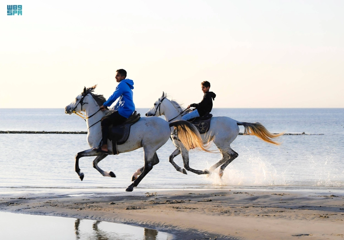 يستمتع الأهالي والزوار بالتنزه في شواطئ محافظة أملج التابعة لمنطقة تبوك وتبعد عنها مسافة 500 كلم، وتتميز بشواطئها الخلابة ذات الرمال النقية والمياه الصافية
