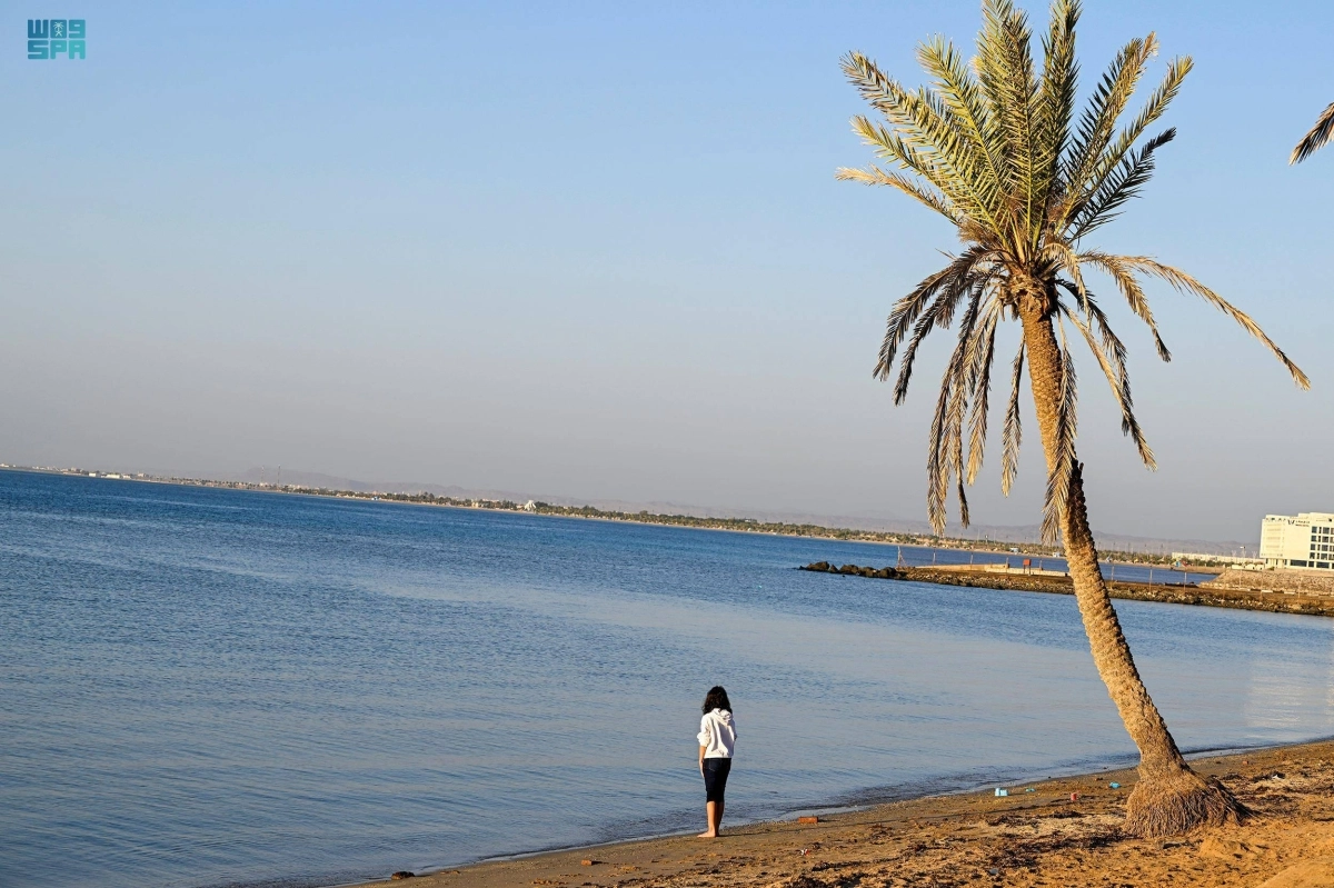 يستمتع الأهالي والزوار بالتنزه في شواطئ محافظة أملج التابعة لمنطقة تبوك وتبعد عنها مسافة 500 كلم، وتتميز بشواطئها الخلابة ذات الرمال النقية والمياه الصافية
