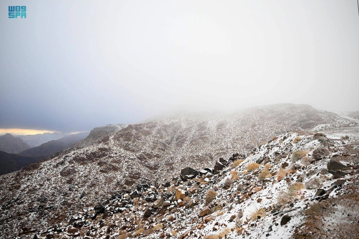 شكلت المناطق التي زادها الثلج جمالا على جمالها الطبيعي وجهة سياحية لأهالي تبوك وزائريها، ممن قدموا من مختلف المناطق لرصد الثلوج، والاستمتاع بجمال تلك الوجهات وروعتها والثلج يغطي مرتفعاتها وسهولها.
