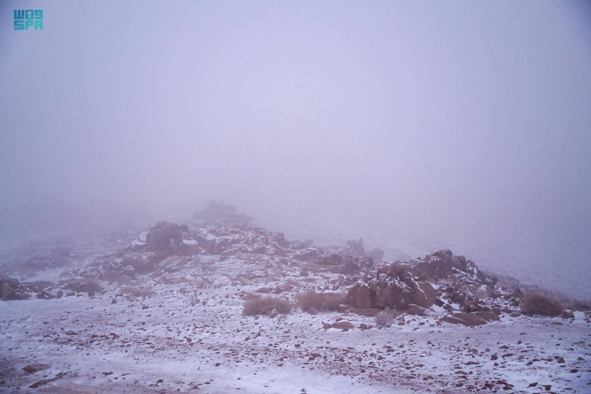 شكلت المناطق التي زادها الثلج جمالا على جمالها الطبيعي وجهة سياحية لأهالي تبوك وزائريها، ممن قدموا من مختلف المناطق لرصد الثلوج، والاستمتاع بجمال تلك الوجهات وروعتها والثلج يغطي مرتفعاتها وسهولها.
