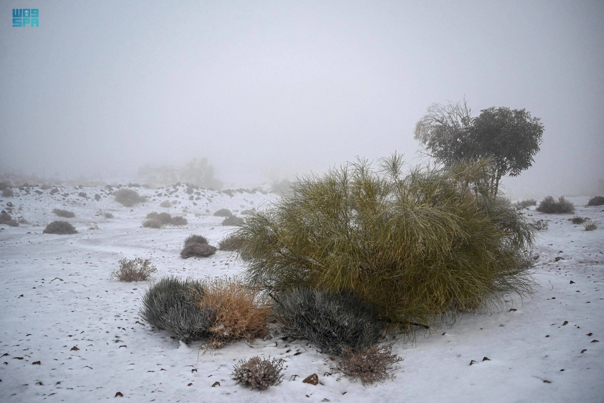 شكلت المناطق التي زادها الثلج جمالا على جمالها الطبيعي وجهة سياحية لأهالي تبوك وزائريها، ممن قدموا من مختلف المناطق لرصد الثلوج، والاستمتاع بجمال تلك الوجهات وروعتها والثلج يغطي مرتفعاتها وسهولها.

