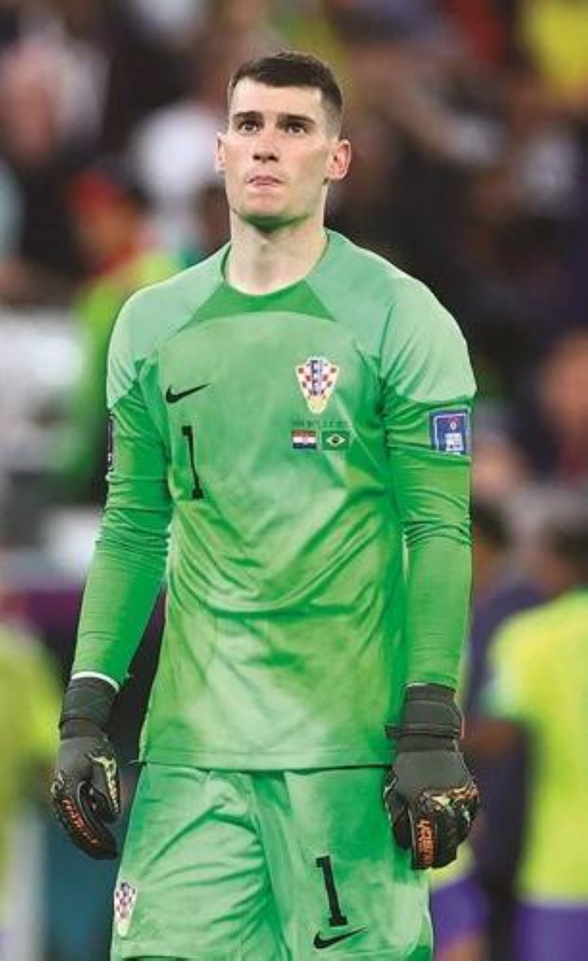 دومينيك ليفاكوفيتش