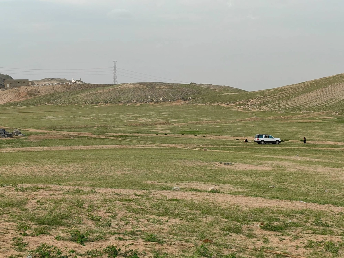 المتنزهات  (أنس الحارثي)