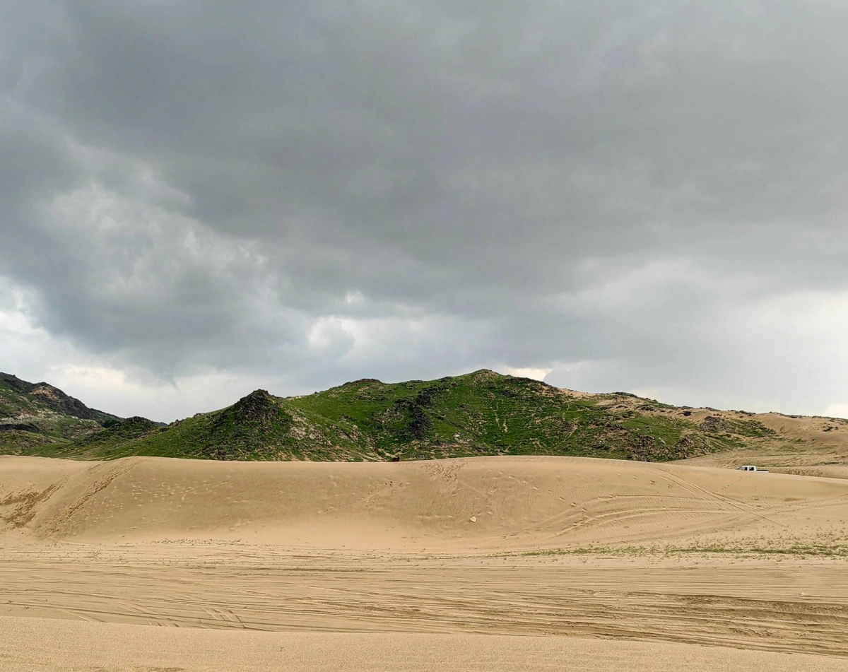 المتنزهات  (أنس الحارثي)