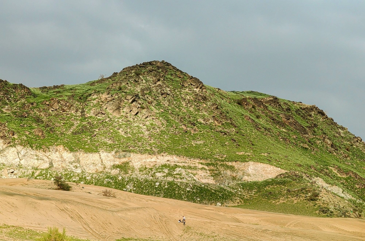 المتنزهات  (أنس الحارثي)