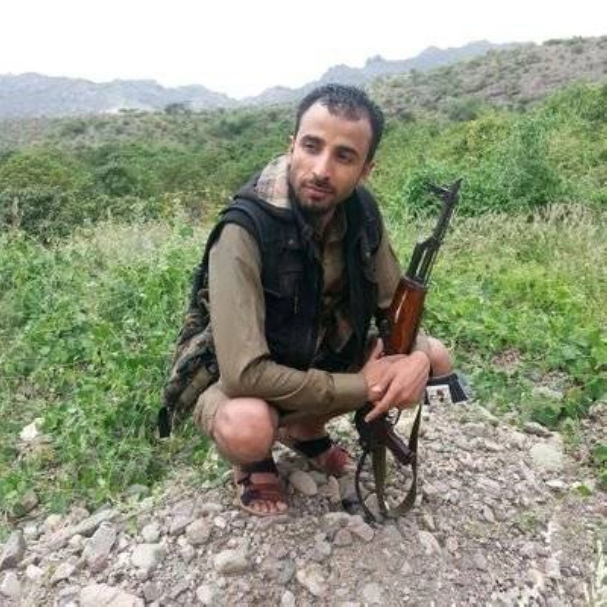 الحوثي عقيل الشامي