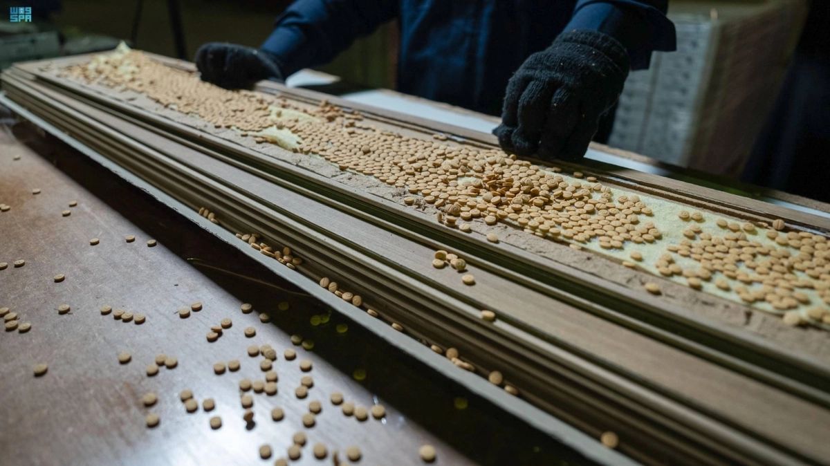 حبوب الكبتاجون المضبوطة (مكة)