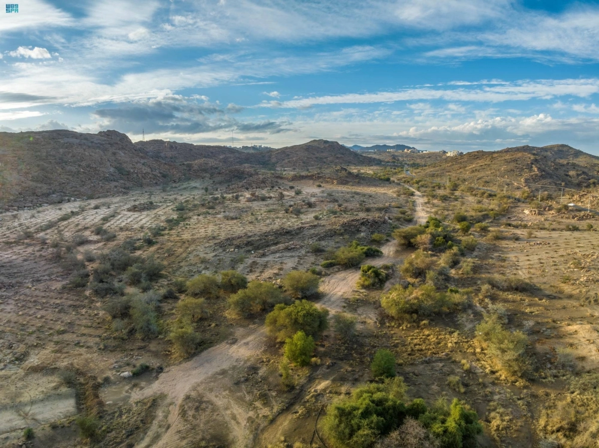 

من عملية تشجير أحد المتنزهات          (مكة)