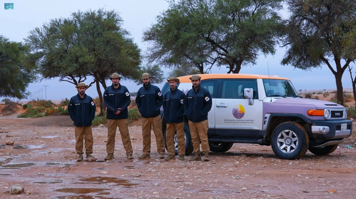 

الجوالة المؤهلون داخل المحمية                                                                 (مكة)