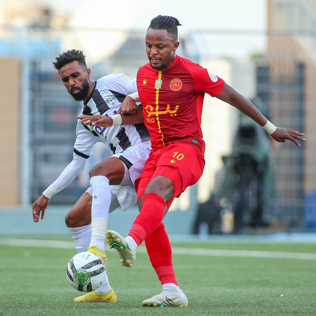 

 هجر والقادسية