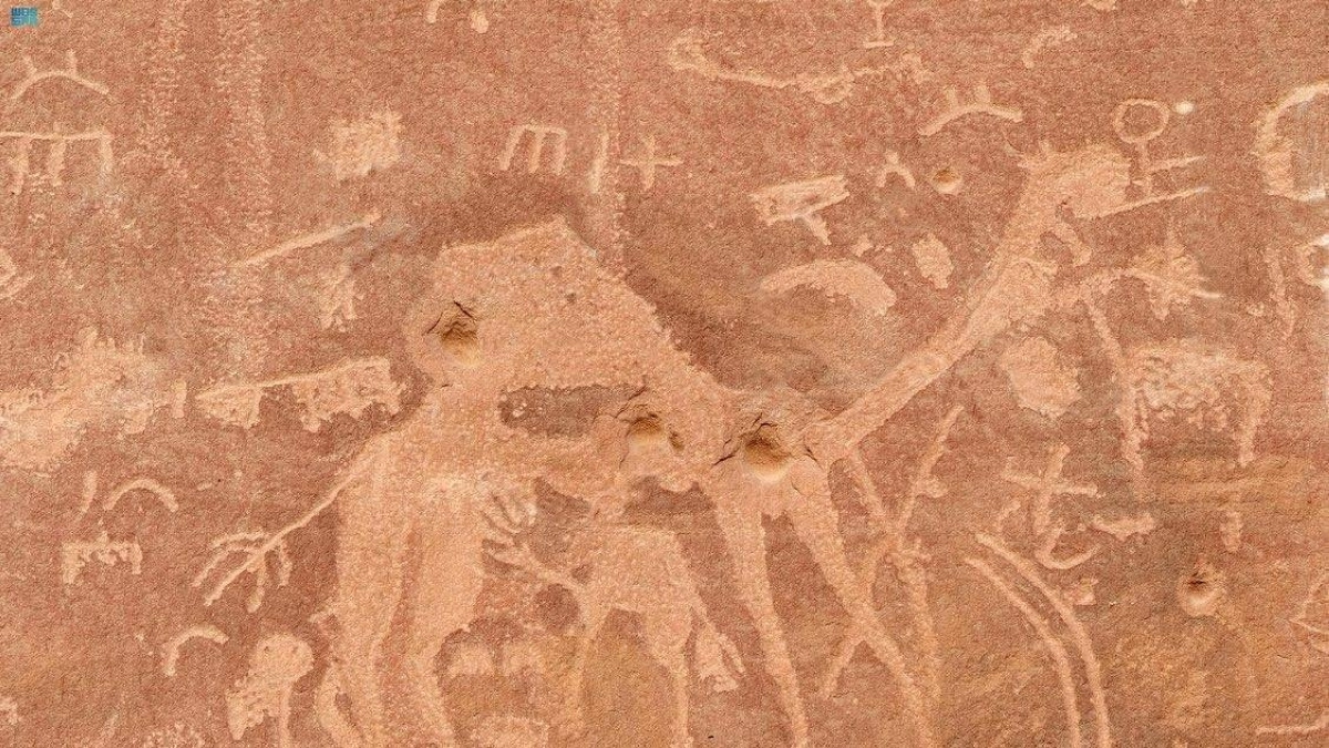 تخليد تاريخ الإبل بالنقوش (مكة)