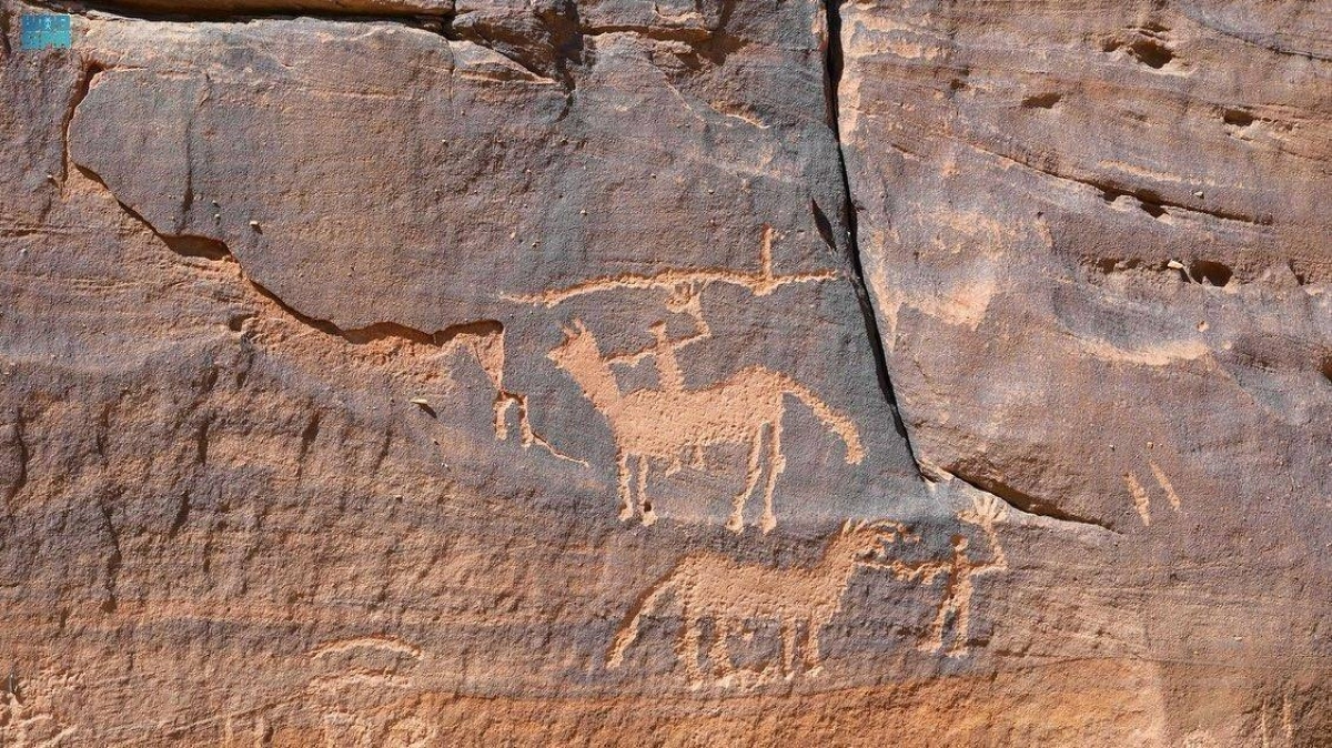 الإبل تشكل جزءا من الرسوم (مكة)