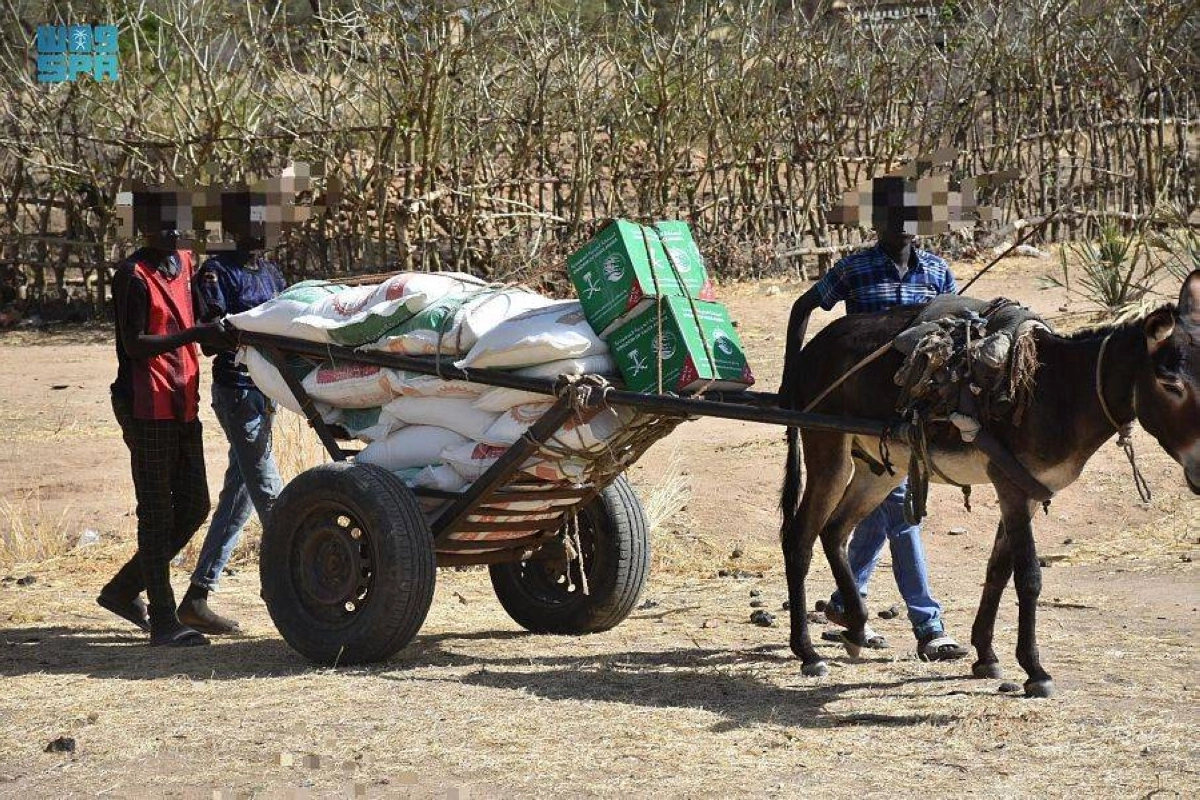 نقل السلال الغذائية في جنوب السودان