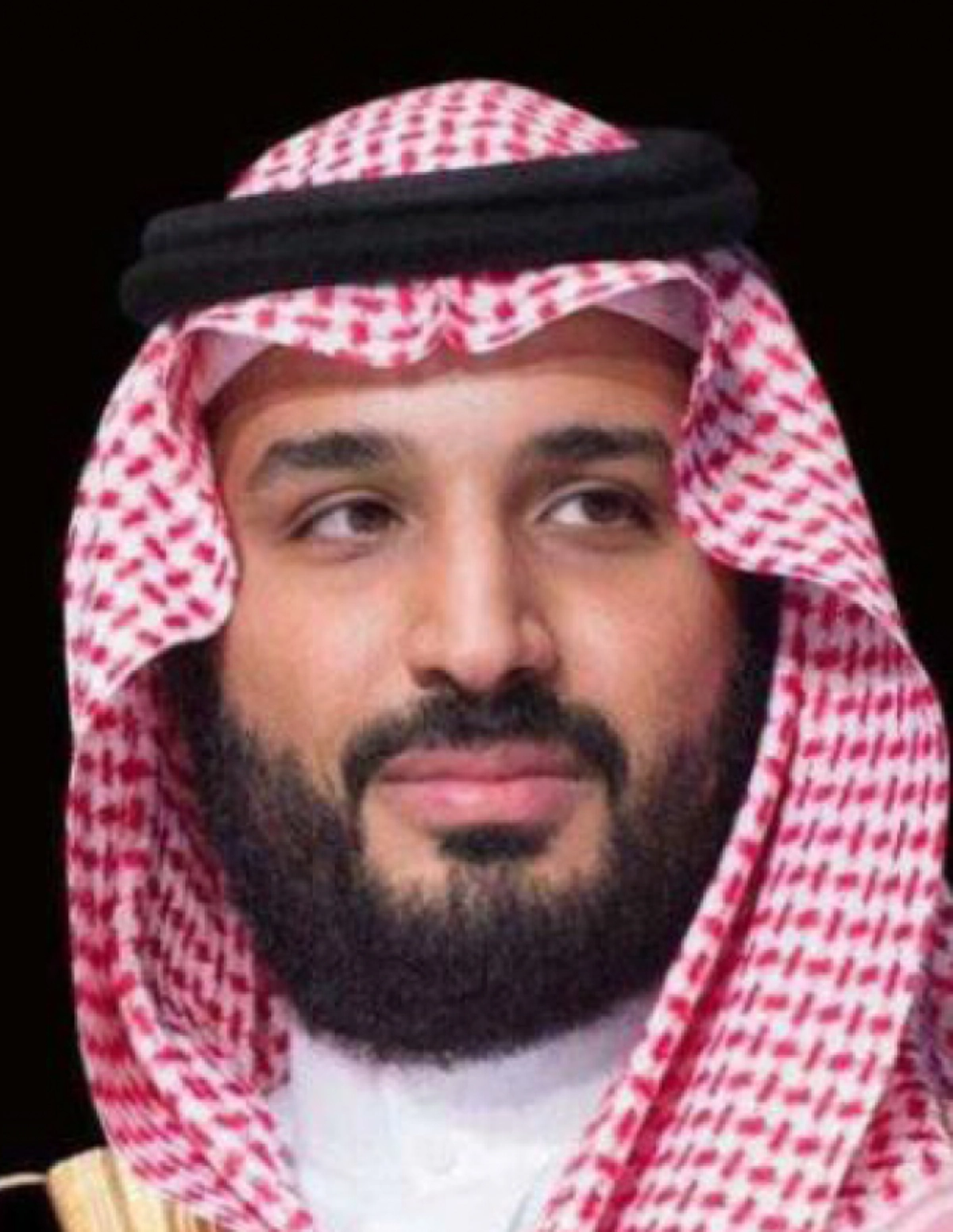 الأمير محمد بن سلمان